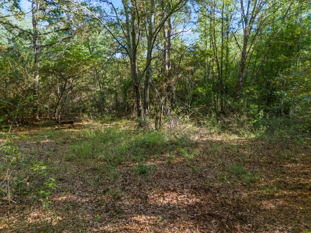 Photo of TBD County Road 3324, 24 Ac