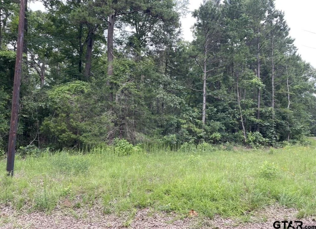 Photo of 1688 County Road 1597