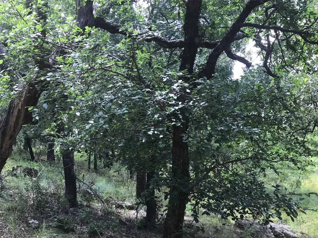 Photo of Lot 253 Cote D Azur Drive