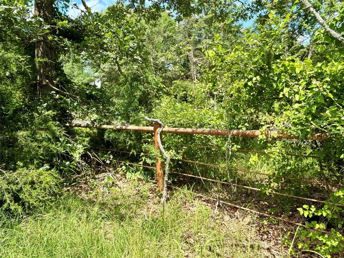 Photo of 5982 Doe Trail