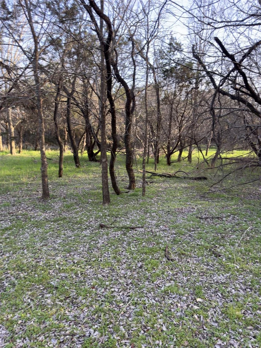 Photo of 12147 Trailwood Drive
