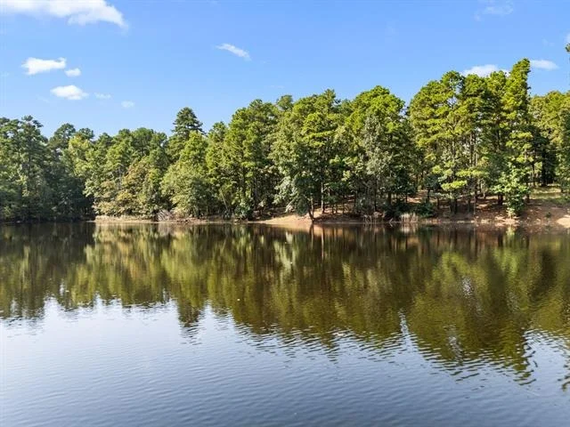 Photo of 1081 County Road 3875