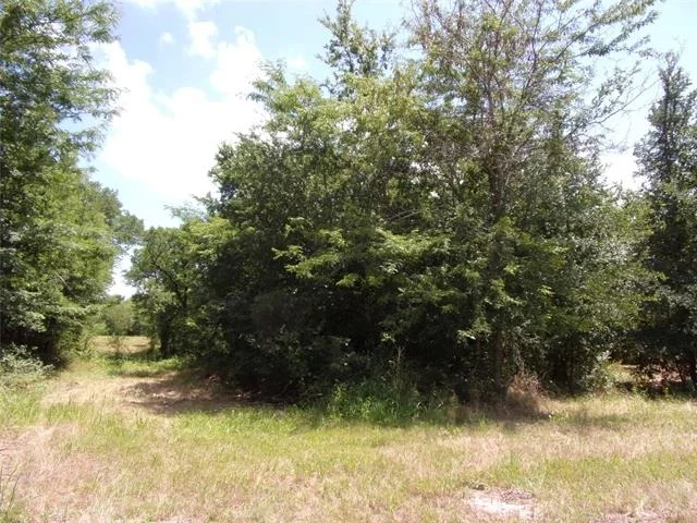 Photo of 4172 Willow Oak Bend