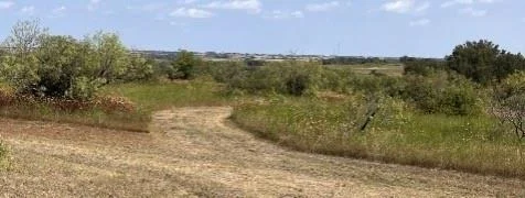 Photo of 1210 County Road 341