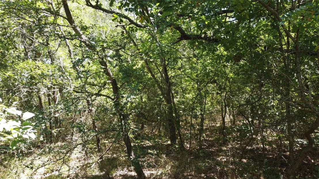 Photo of 4189 Willow Oak Bend