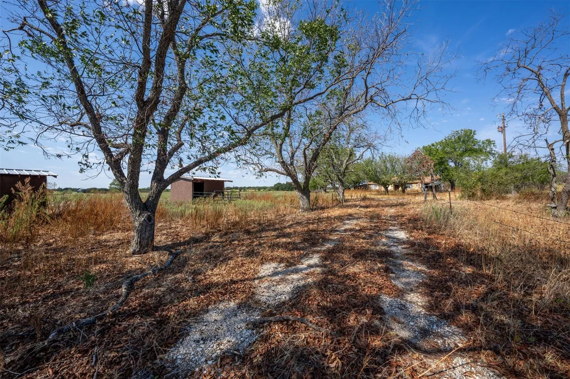 Photo of 1000 County Road 476