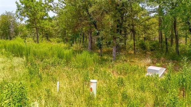 Photo of TBD Fm 489 E