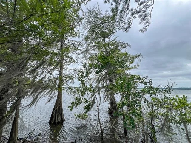 Photo of T-2 Arledge Trail/Off Gateway Meadows