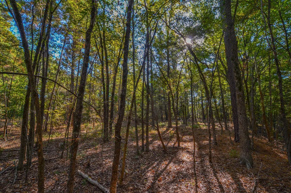 Photo of 7821 Cr 3409