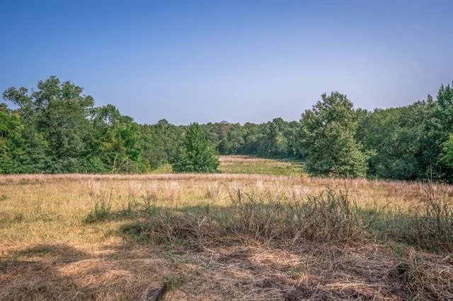 Photo of 14372 US Highway 79 S