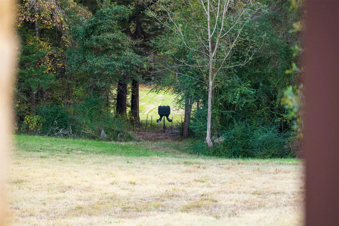 Photo of 640 County Road 4910