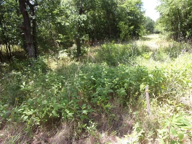 Photo of 4172 Willow Oak Bend