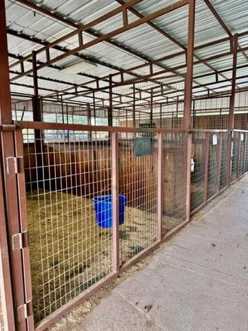 Photo of 5026 Upper Montague Road