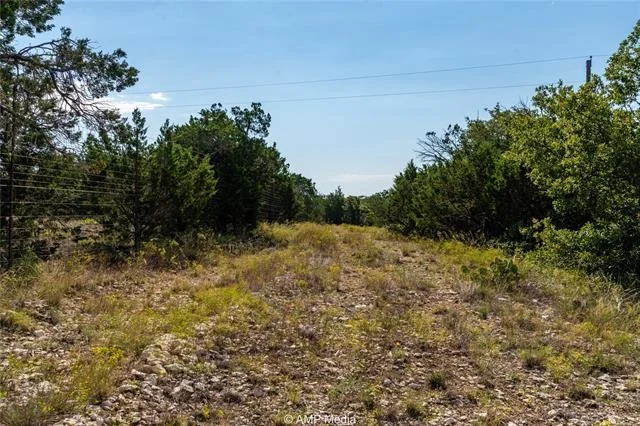 Photo of 1982 Mountain Pass Rd