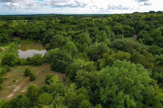 Photo of 8690 County Road 1119