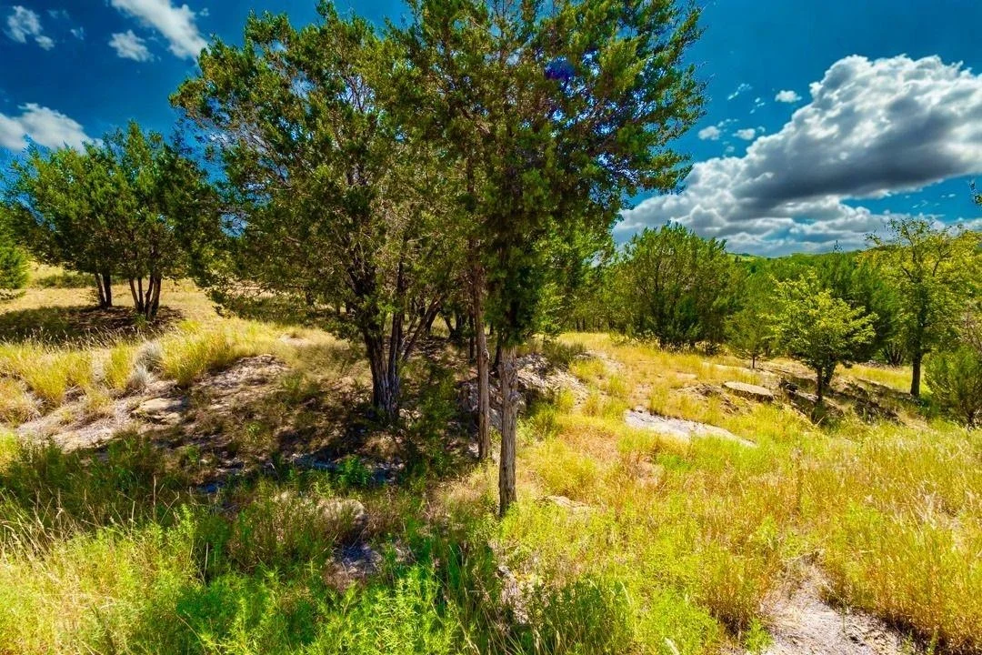 Photo of 1636 Sawtooth Mountain Road
