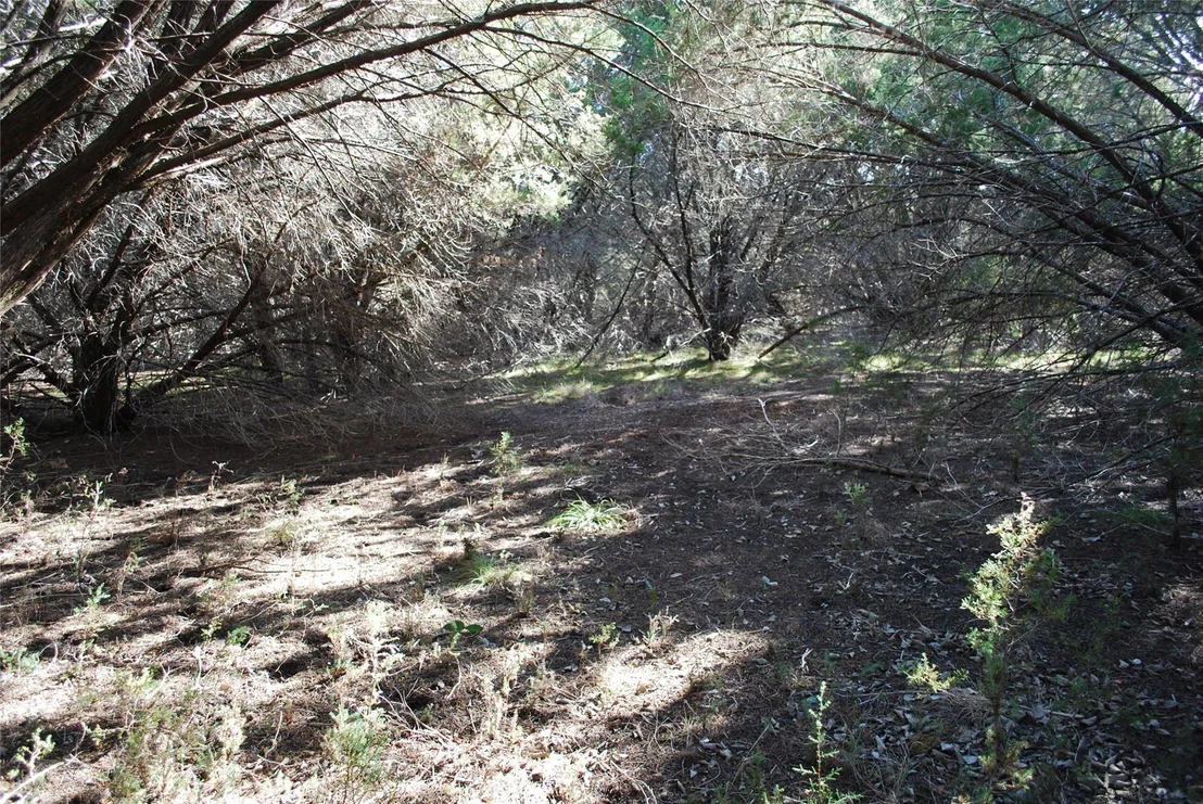Photo of 8182 Cedar Crest Drive