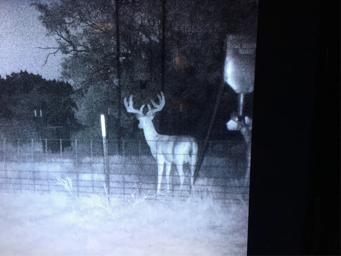Photo of 631 CR 352