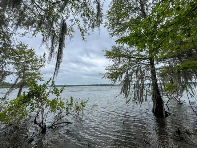 Photo of T-2 Arledge Trail/Off Gateway Meadows