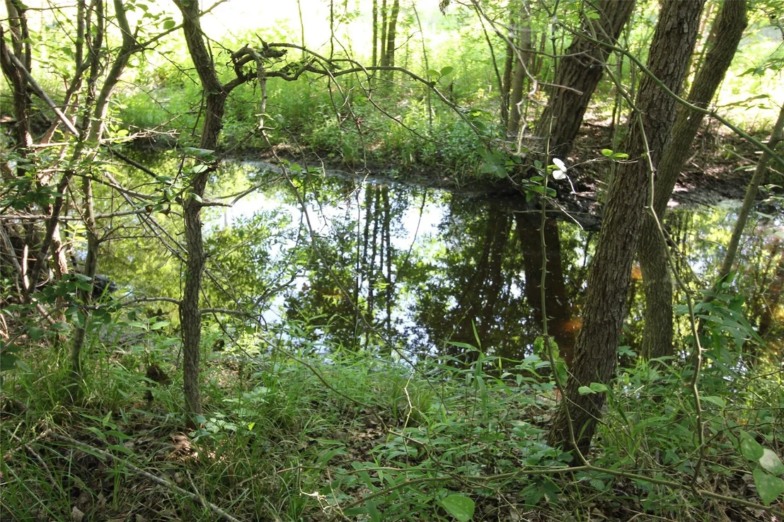 Photo of 19470 County Road 4072