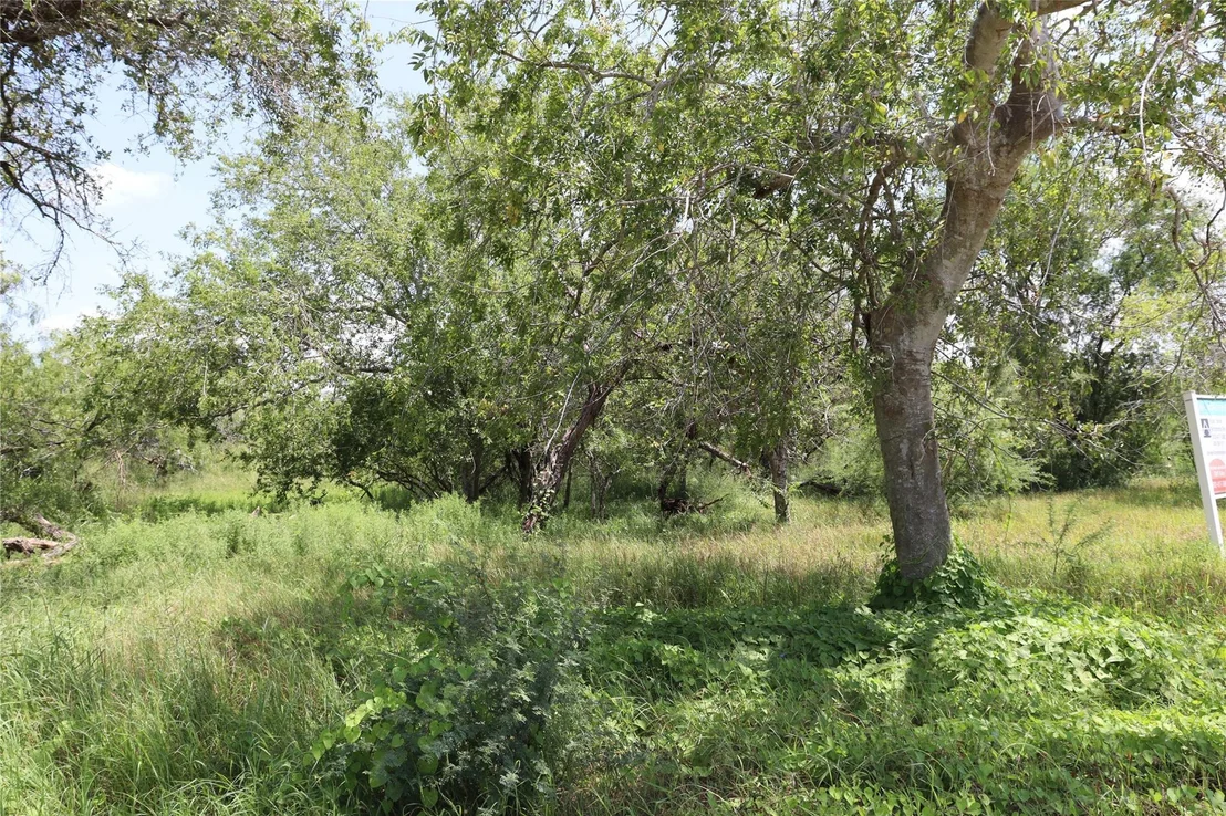 Photo of 14135 County Road 1144