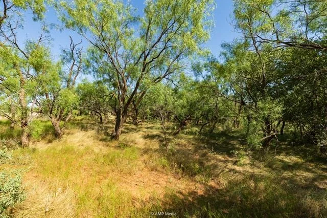 Photo of 1363 County Road 441