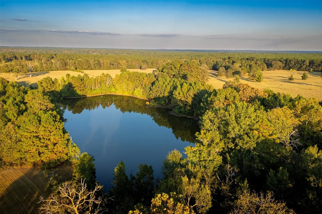 Photo of 973 County Road 2572