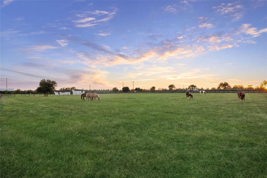 Photo of 40570 Wild life Run