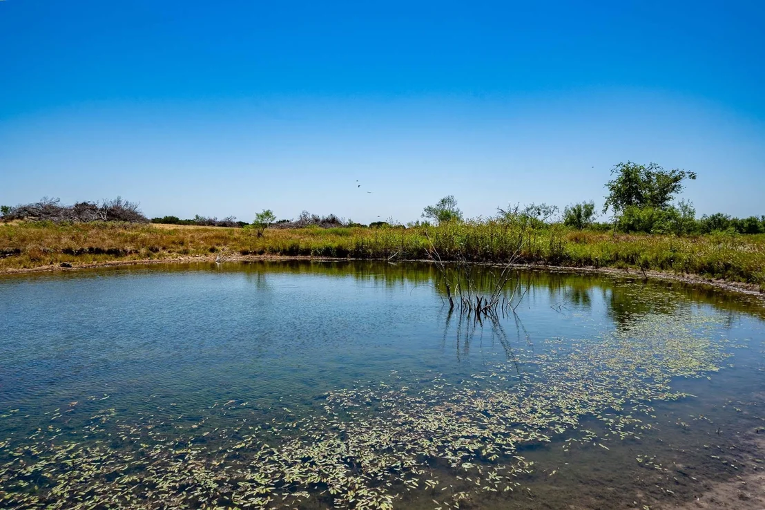 Photo of 221 County Road 225