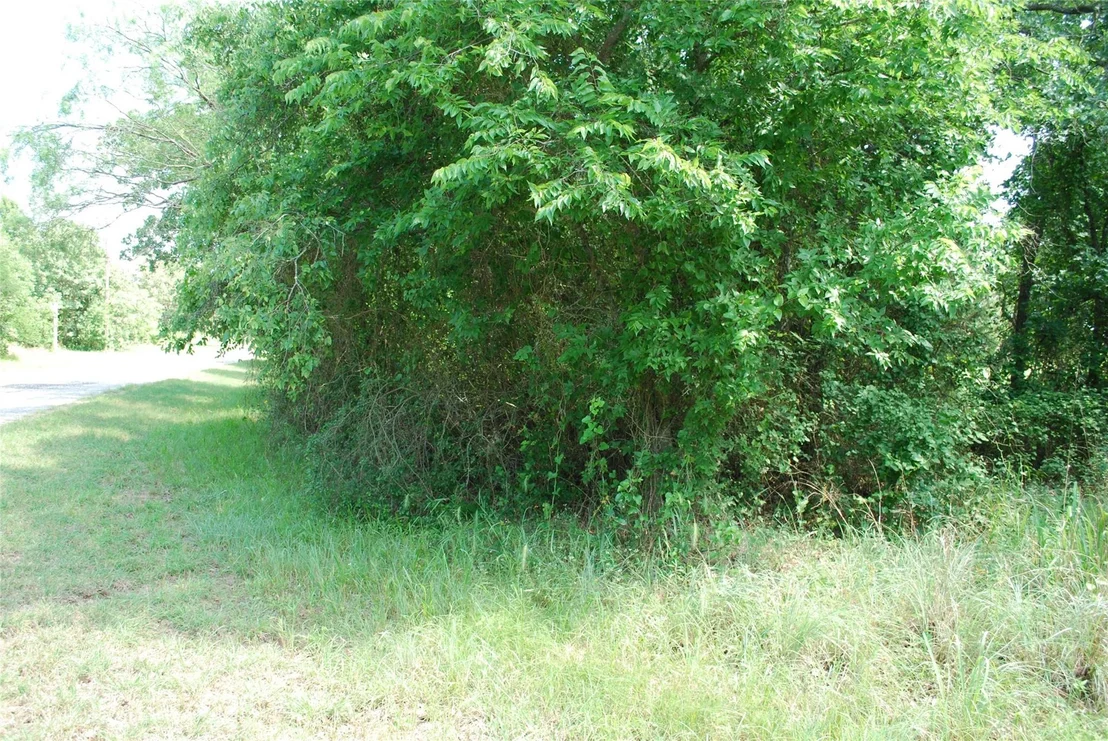 Photo of 27183 Whispering Meadow Drive