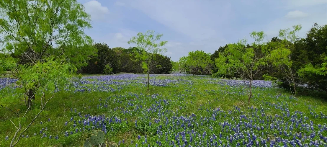 Photo of 9680 US HWY 190 E
