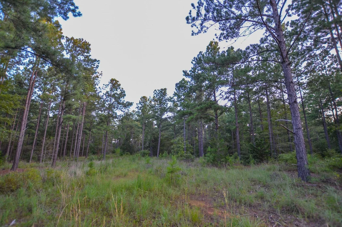 Photo of Tract 1 Hwy 155