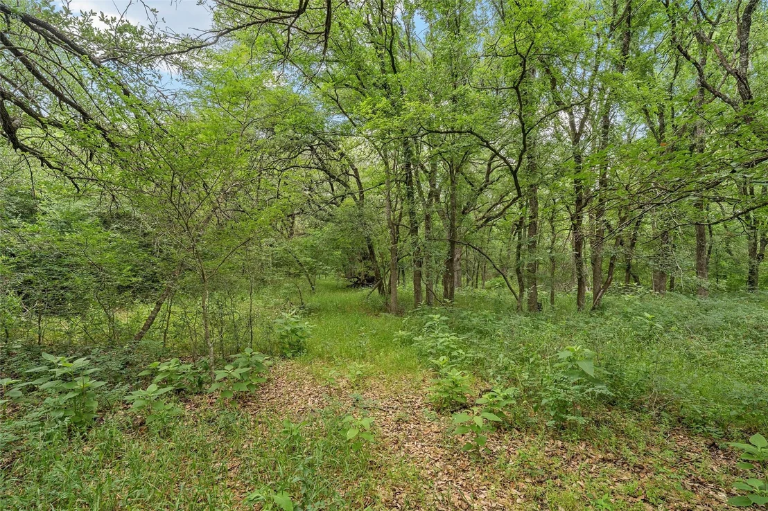 Photo of 654 County Road 473