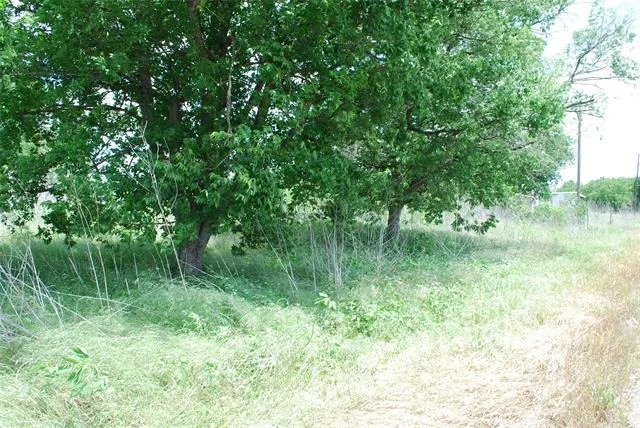 Photo of 129 LCR 300