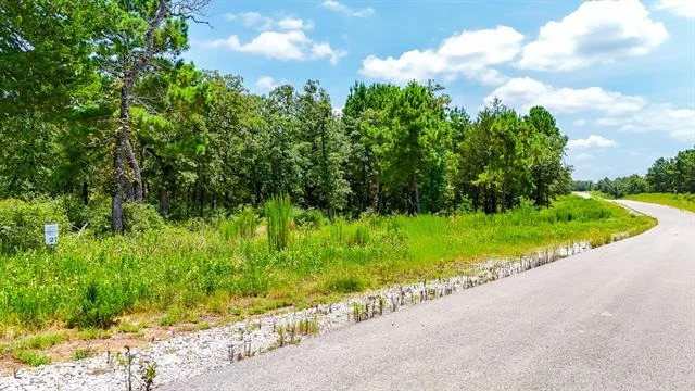 Photo of TBD Fm 489 E