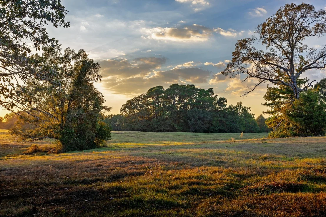 Photo of 973 County Road 2572