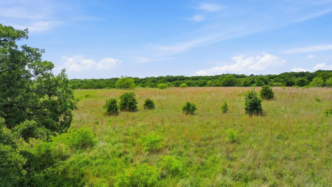 Photo of 2051 Mustang Ridge