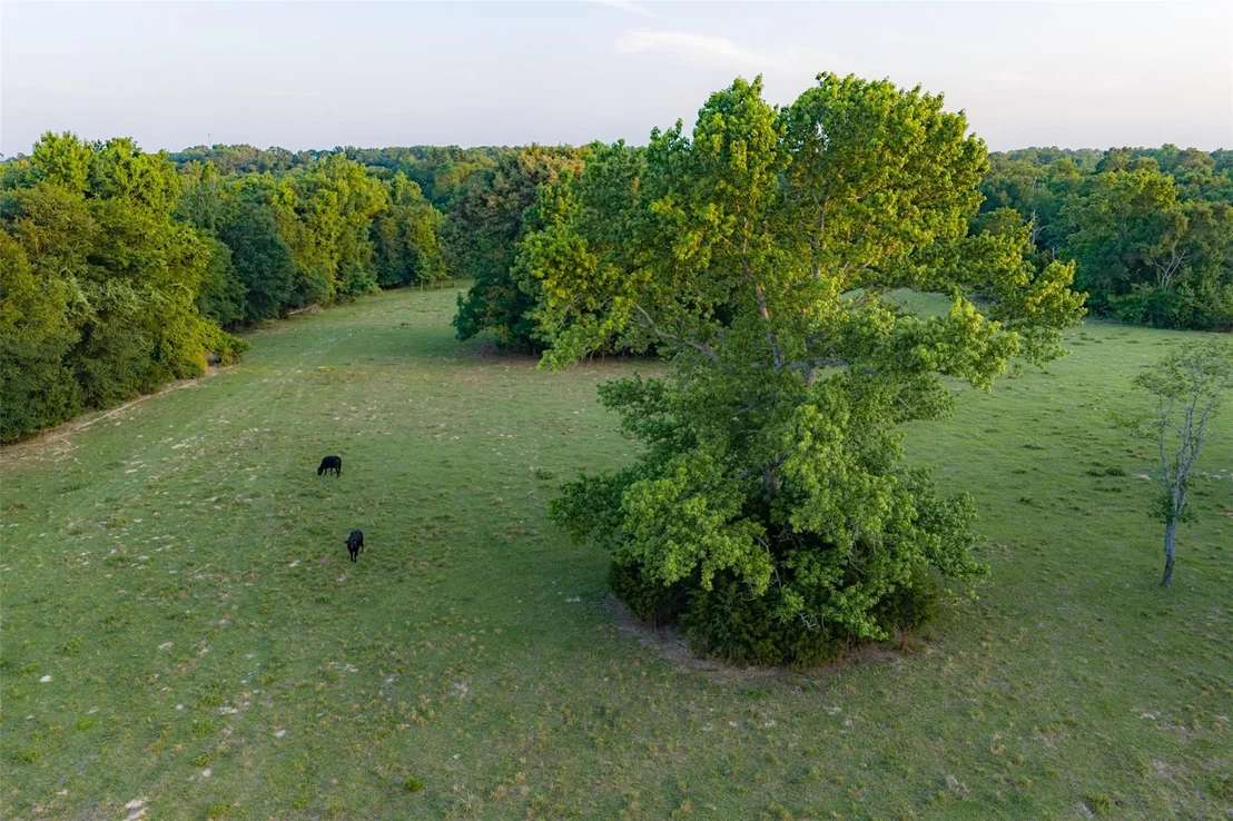 Photo of 13612 County Road 3900
