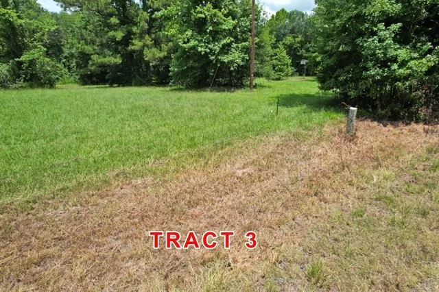 Photo of Tract 3 County Road 3117