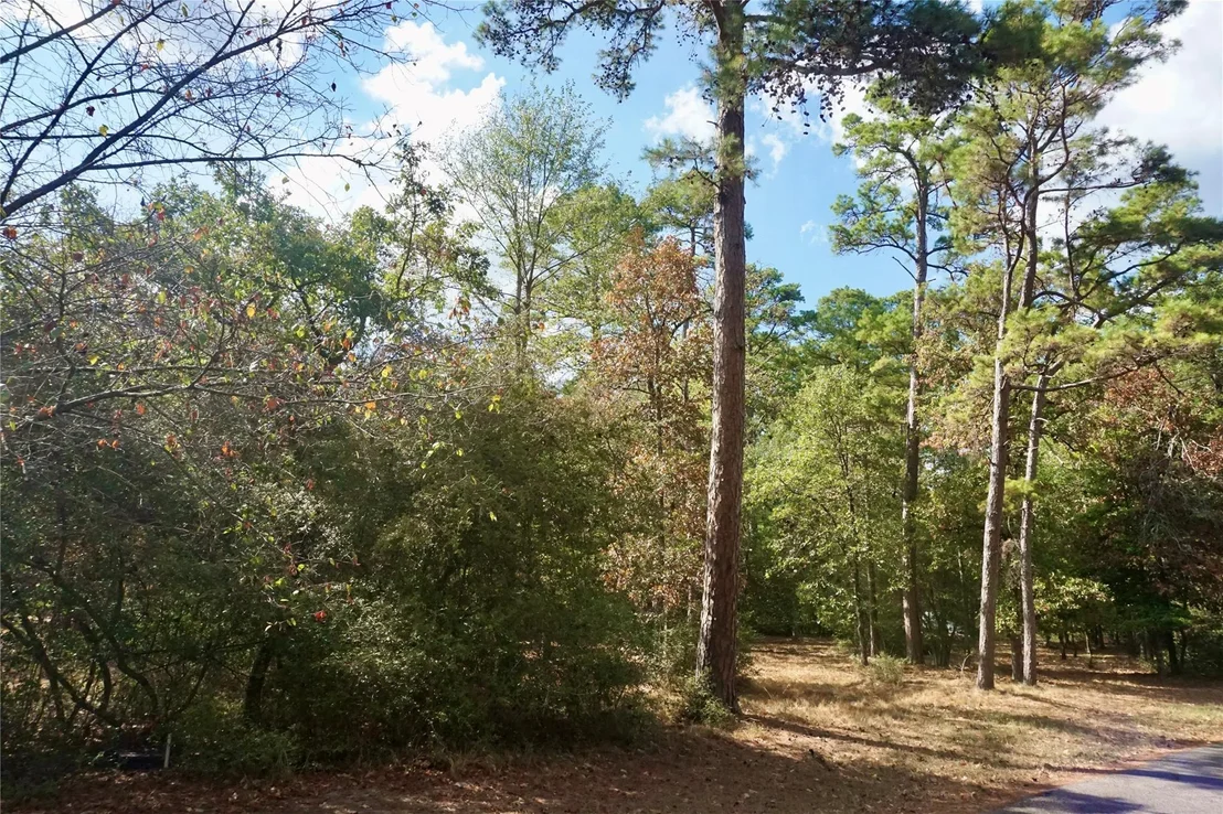 Photo of TBD Lot 146 (Evening Shadows Trail) Trail