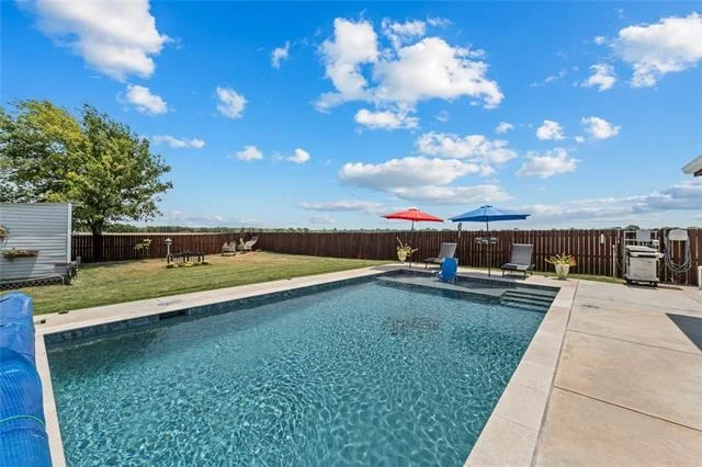 Photo of 225 Swan Lake