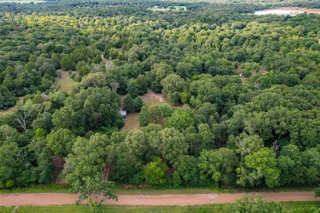 Photo of 8690 County Road 1119