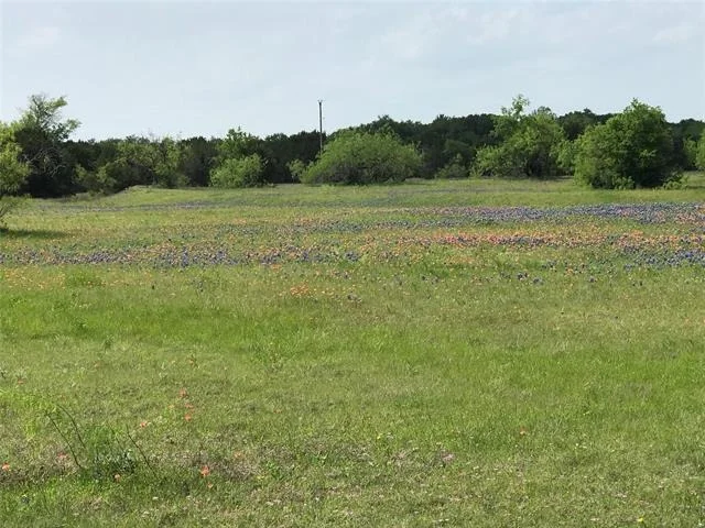 Photo of 1014 White Bluff Drive