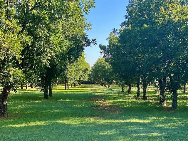 Photo of 751 County Road 424