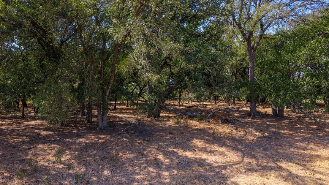 Photo of 1000 County Road 476