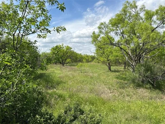 Photo of Tract 19 AC CR 150