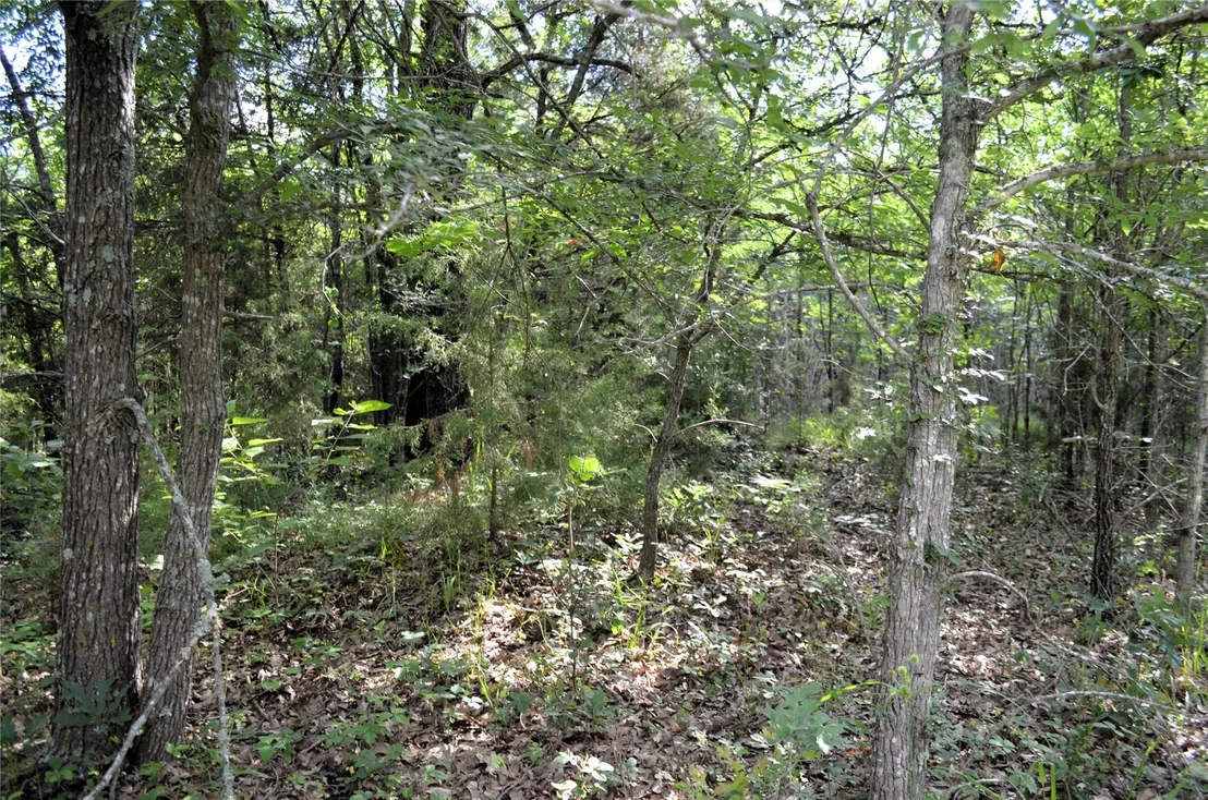 Photo of Unit 2315 at 760 VZ County Road