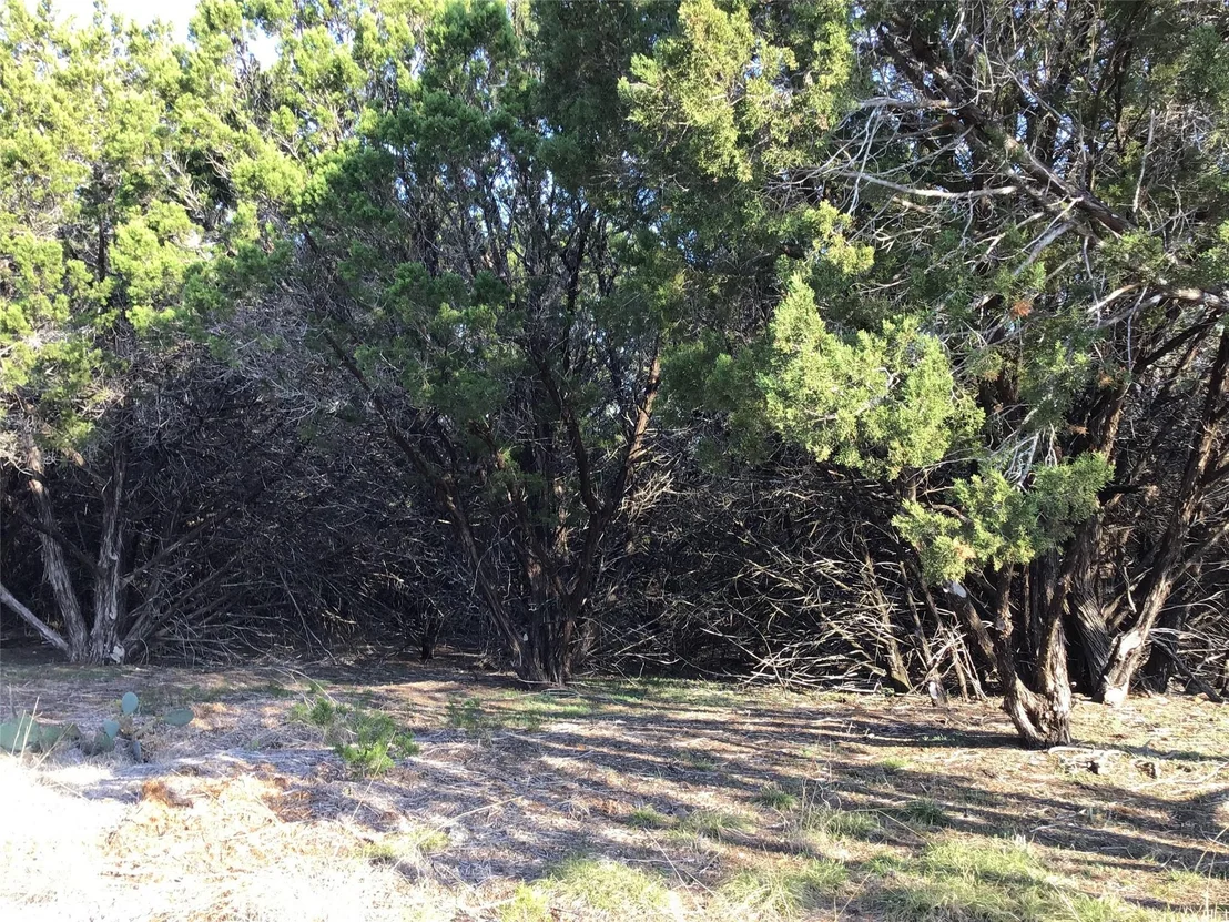 Photo of 29084 Cedar Hill Dr & Timberwood Drive