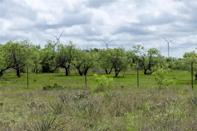 Photo of 502 Co Rd 127