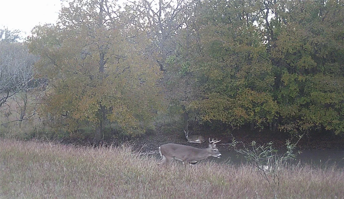 Photo of 1690 County Road 530